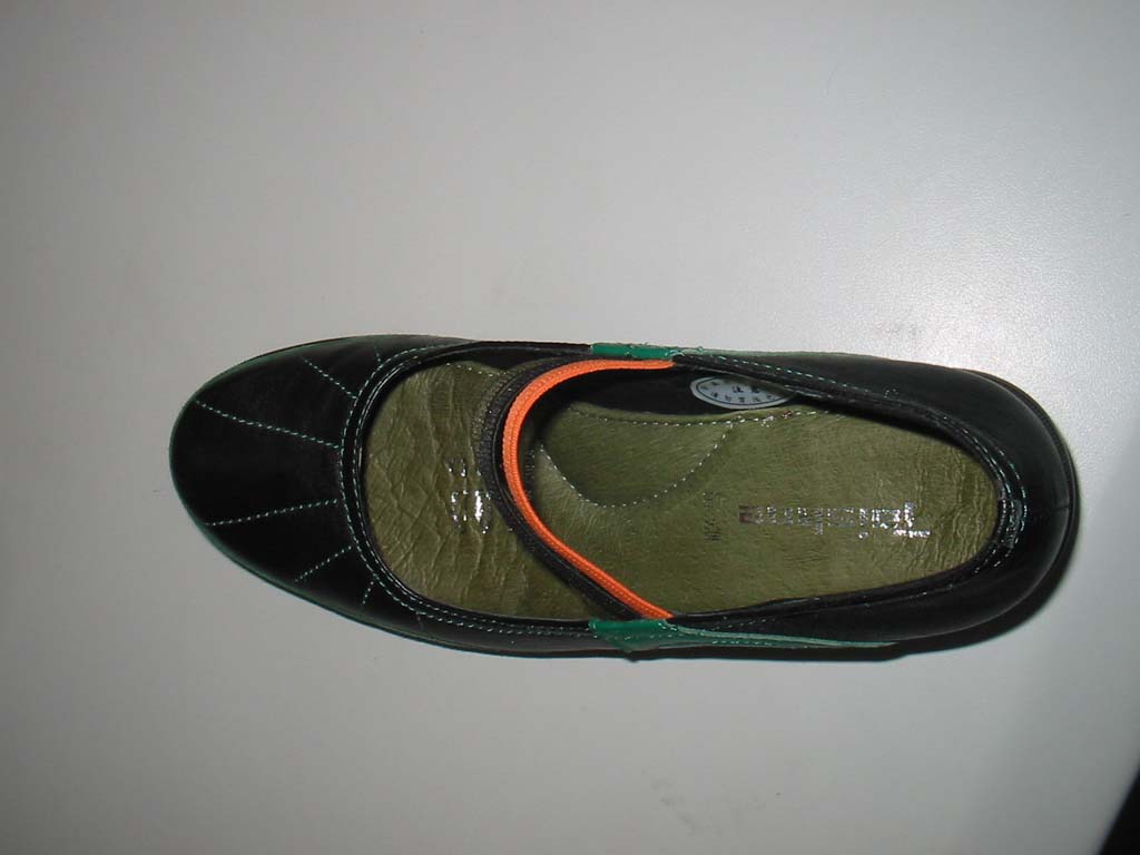 我的米兰花昨天买回来的今天能换花盆吗?卖花